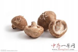 香菇的功效与作用-用法及别名-香菇图片
