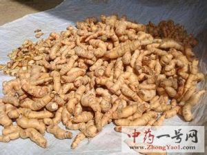 生地黄