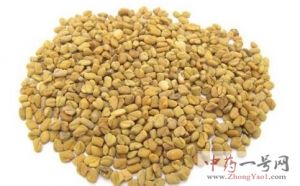 葫芦巴的功效与作用-用法及别名-葫芦巴图片