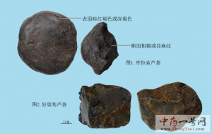 芦荟的功效与作用-用法及别名-芦荟图片