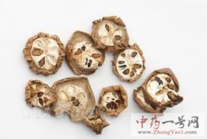 八月札的功效与作用-用法及别名-八月札图片