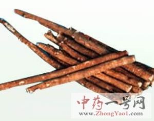 红芪的功效与作用-用法及别名-红芪图片