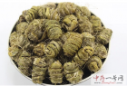铁皮石斛