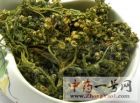 赶黄草2