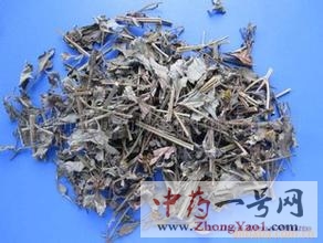 鬼针草的功效与作用-用法及别名-鬼针草图片