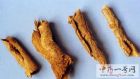 香加皮5