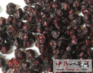 南五味子的功效与作用-用法及别名-南五味子图片