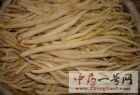 川明参1