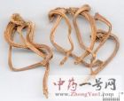 甜瓜蒂5