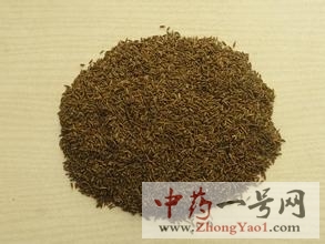 孜然4