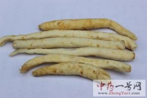 川明参的功效与作用-用法及别名-川明参图片