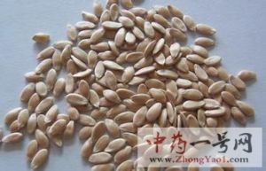 黄瓜子的功效与作用-用法及别名-黄瓜子图片