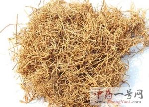 徐长卿的功效与作用-用法及别名-徐长卿图片